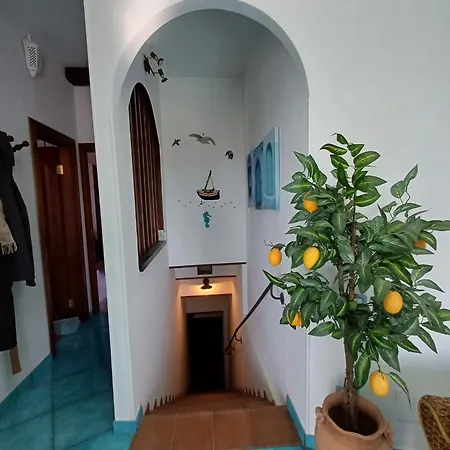 Redea's House Apartment Pozzuoli